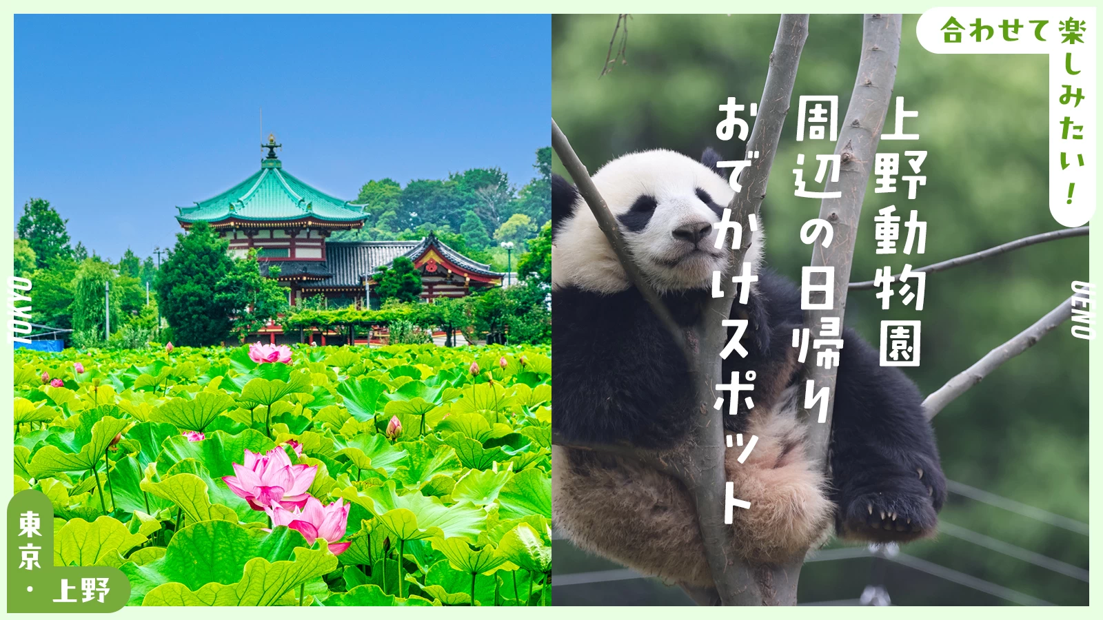 合わせて楽しみたい！東京・上野動物園周辺の日帰りおでかけスポット8選