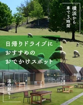 【横浜から車で3時間】道の駅も！日帰りドライブにおすすめのおでかけスポット30選
