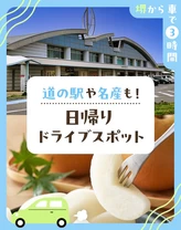 【堺から車で3時間】道の駅や名産も！日帰りドライブスポット24選
