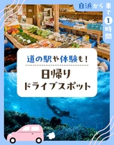 【白浜から車で1時間】道の駅や体験も！日帰りドライブスポット6選