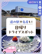 【山口から車で1時間】道の駅や名産も！日帰りドライブスポット7選