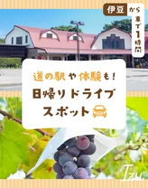 【伊豆から車で1時間】道の駅や体験も！日帰りドライブスポット7選