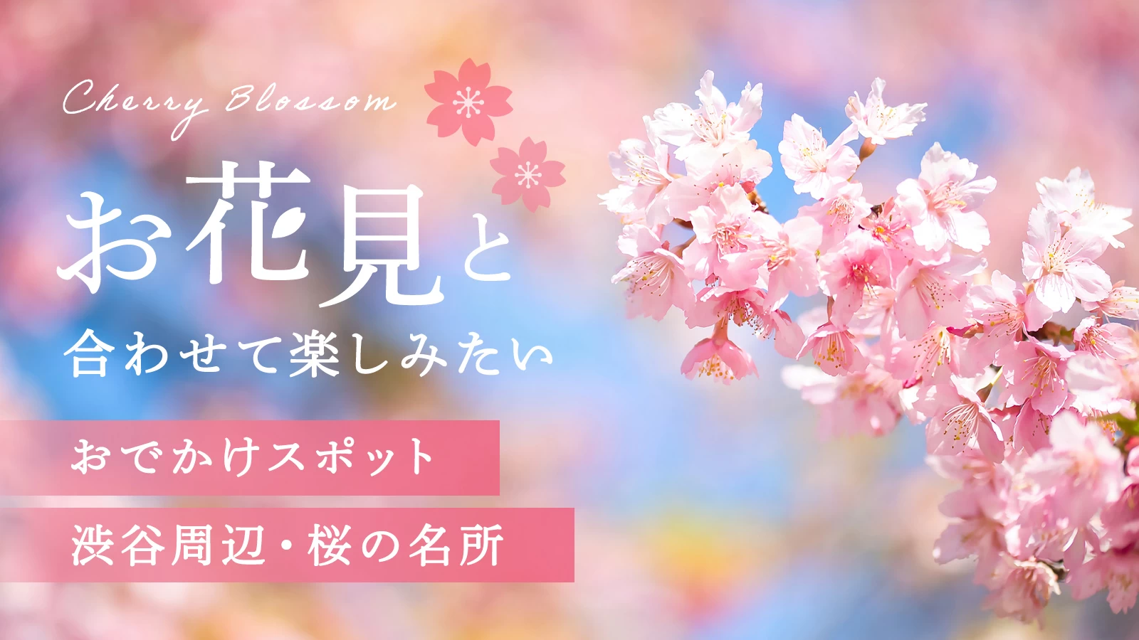 【渋谷周辺・桜の名所を紹介】お花見とあわせて楽しみたいおでかけスポット24選