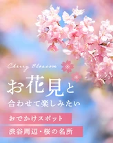 【渋谷周辺・桜の名所を紹介】お花見とあわせて楽しみたいおでかけスポット24選