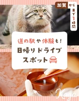 【加賀から車で1時間】道の駅や体験も！おすすめドライブスポット10選