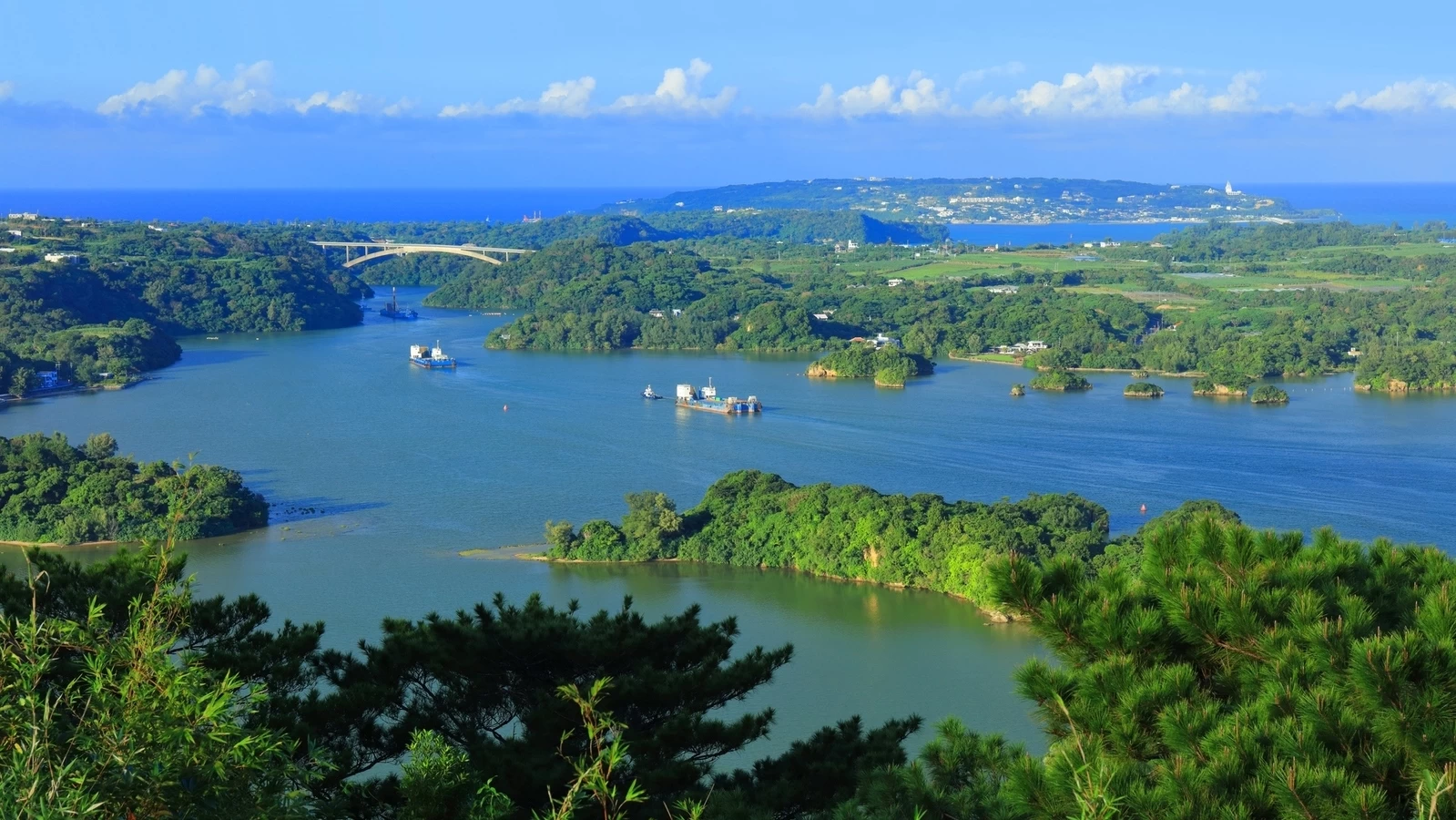 【沖縄県今帰仁村】「ジャングリア沖縄」入場チケットがふるさと納税の返礼品に！