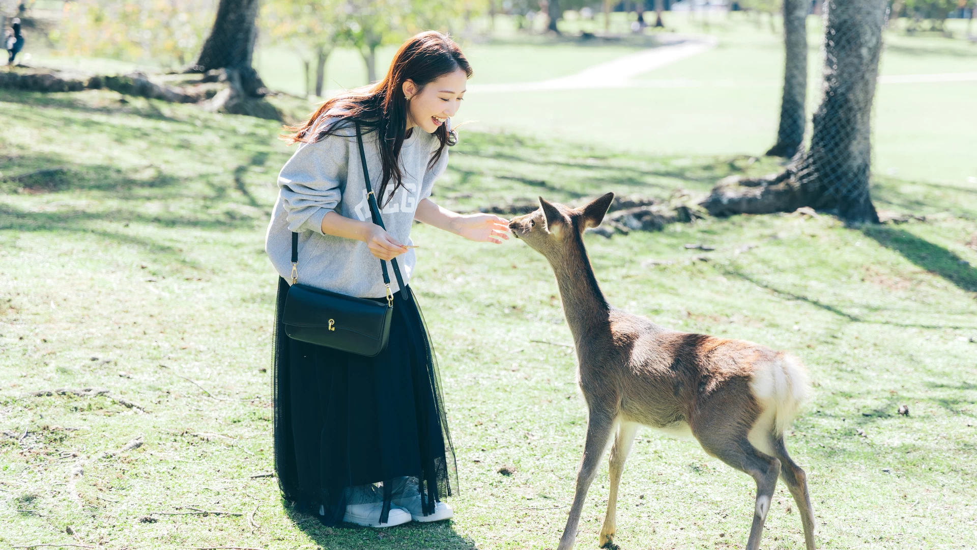 「奈良公園」にはなぜ鹿が！？歴史や見どころ、世界遺産などの周辺スポットを紹介！