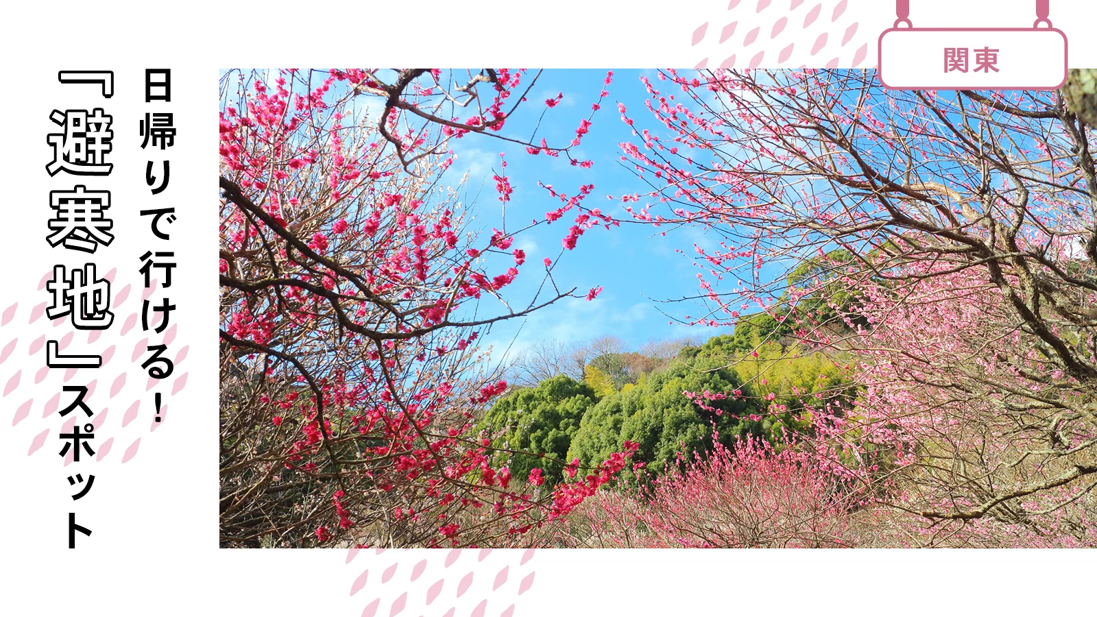 【関東近郊】冬でも暖かい！日帰りで行ける「避寒地」スポット6選