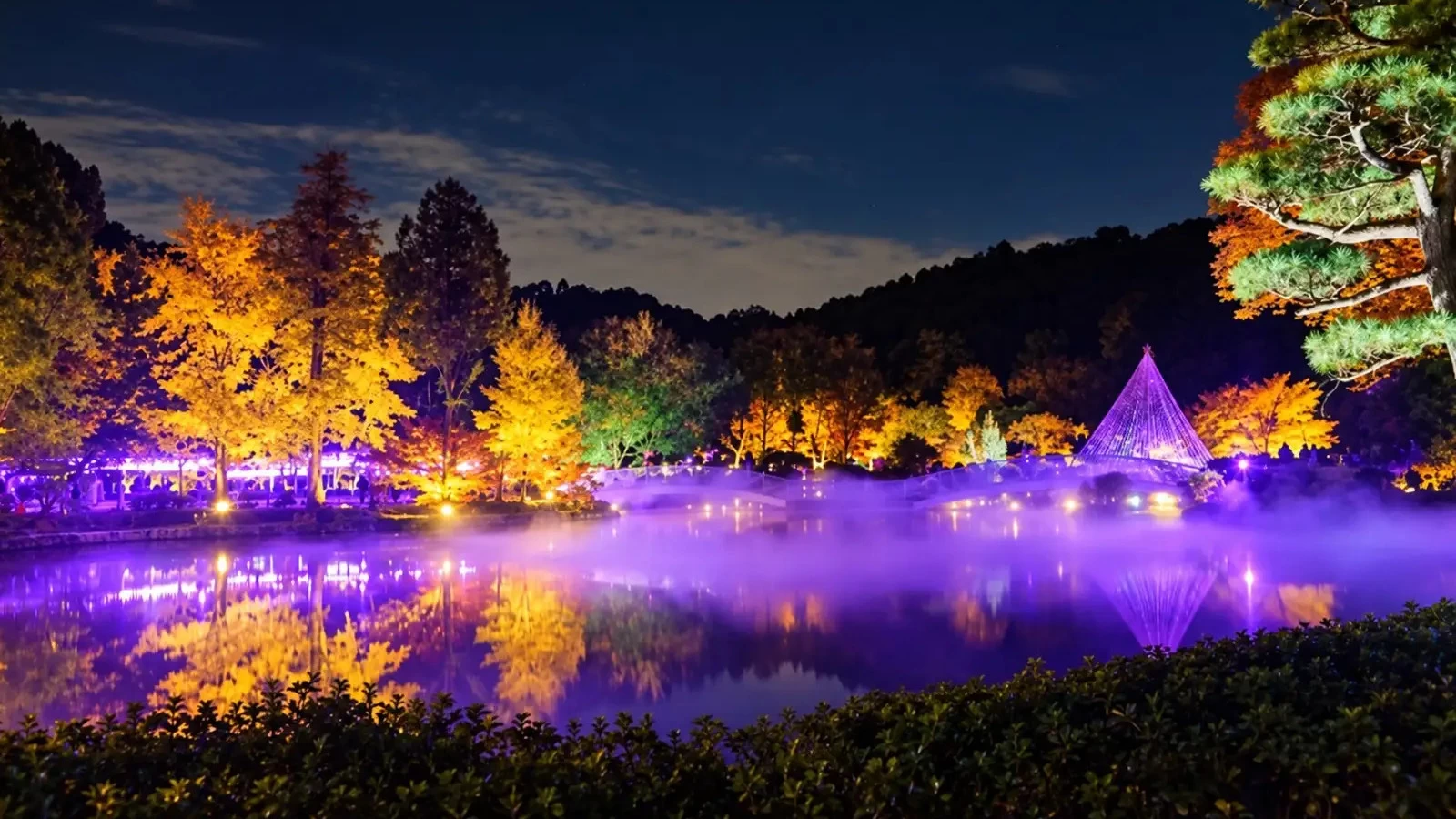 【2026】東京・神奈川の紅葉ライトアップ名所!日帰りで巡る夜の絶景