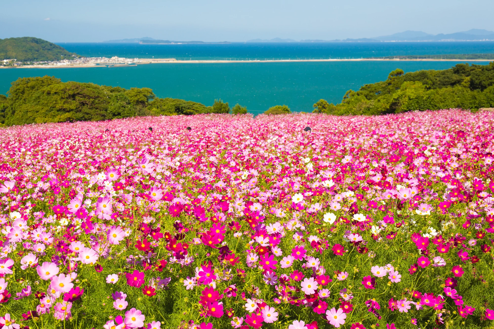 全国】日帰りで行く！ おすすめの離島35選