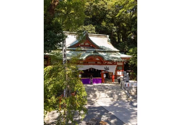 静岡】パワースポットにおでかけ！運気の上がる神社10選