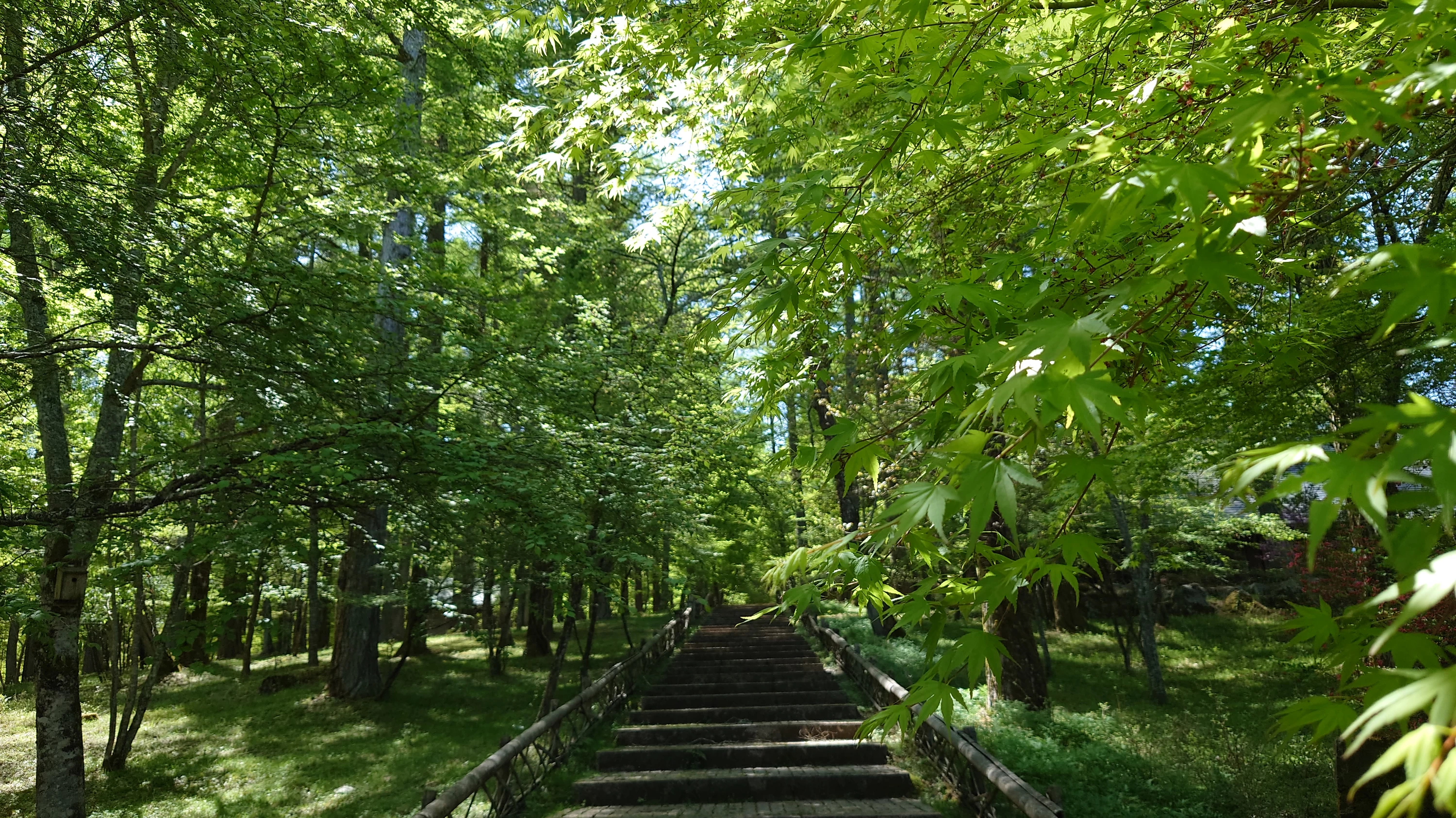 山中湖文学の森公園