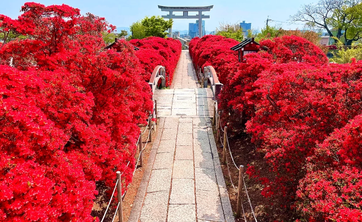 全国・おでかけ】受験前の合格祈願に！菅原道真ゆかりの神社14選