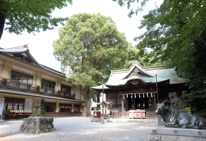 全国・おでかけ】受験前の合格祈願に！菅原道真ゆかりの神社14選