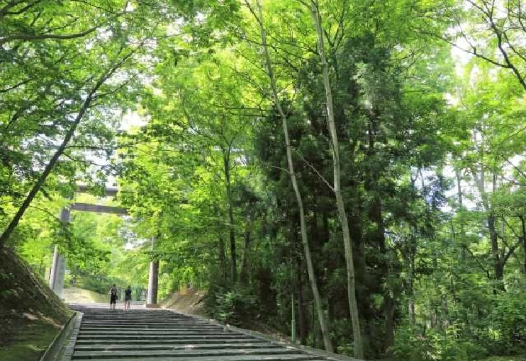 日本全国】パワースポットにおでかけ！運気の上がる神社32選