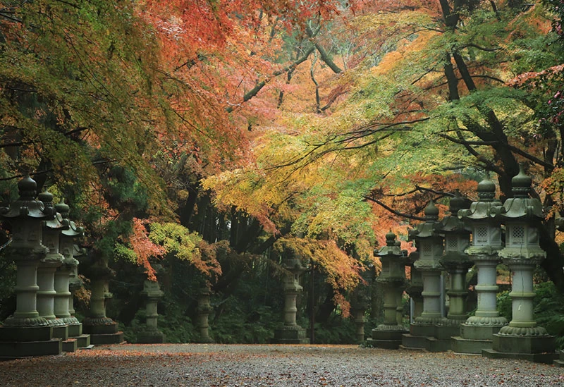 2024年・関東】最強のパワースポットへ！運気の上がる神社47選