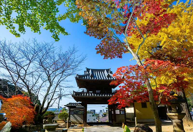 愛媛】パワースポットにおでかけ！運気の上がる神社・神宮・寺院17選