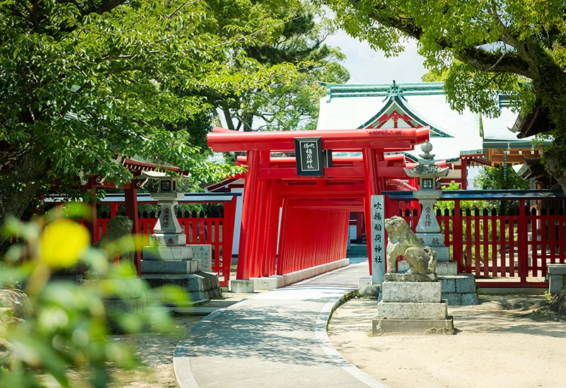 愛媛】パワースポットにおでかけ！運気の上がる神社・神宮・寺院17選