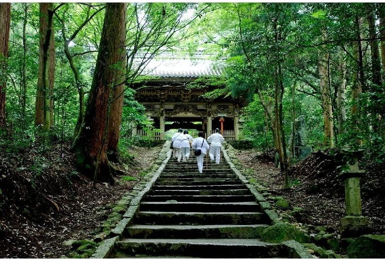 愛媛】パワースポットにおでかけ！運気の上がる神社・神宮・寺院17選