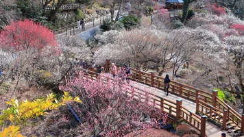 熱海梅園