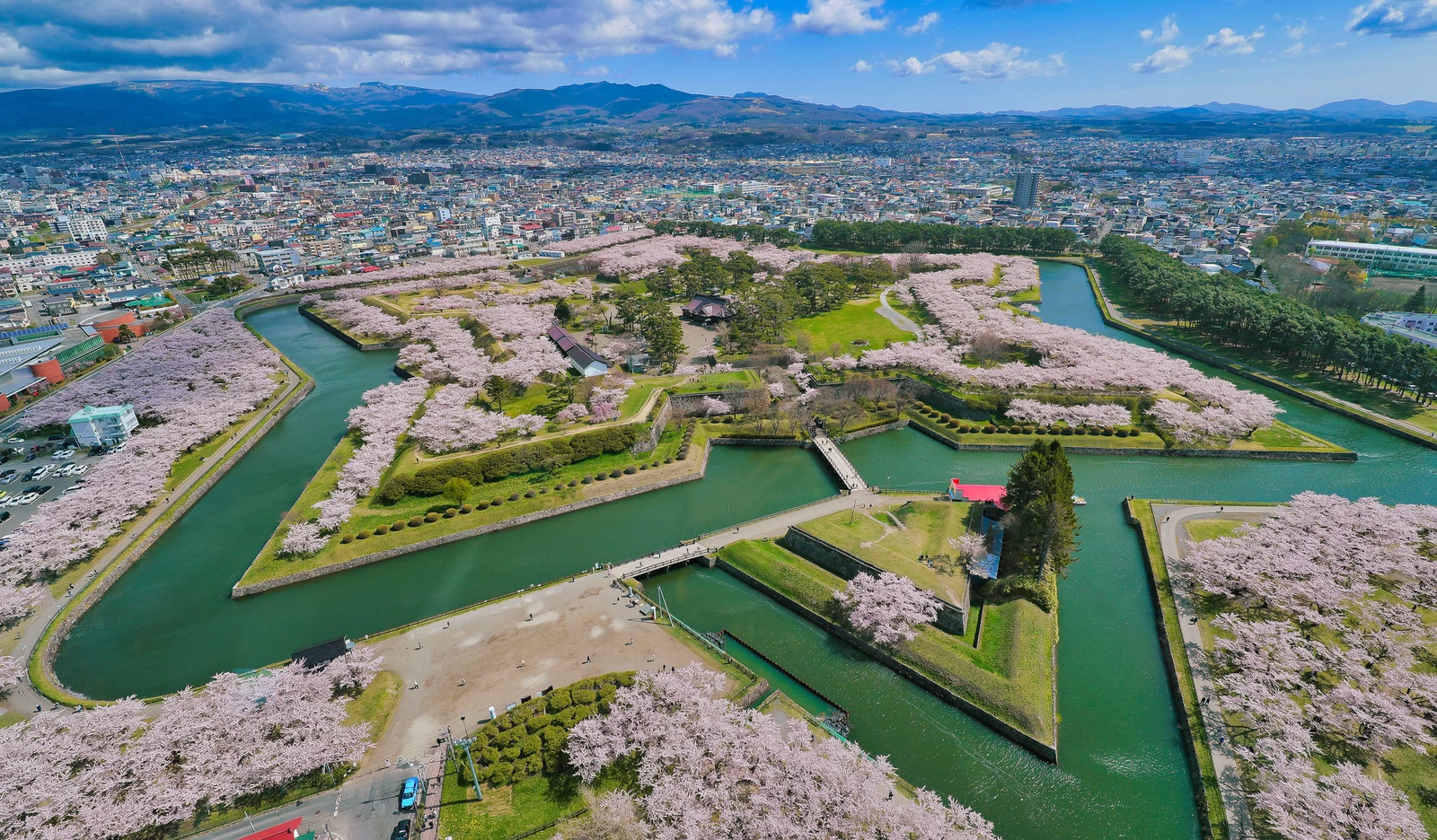 五稜郭タワー　展望桜