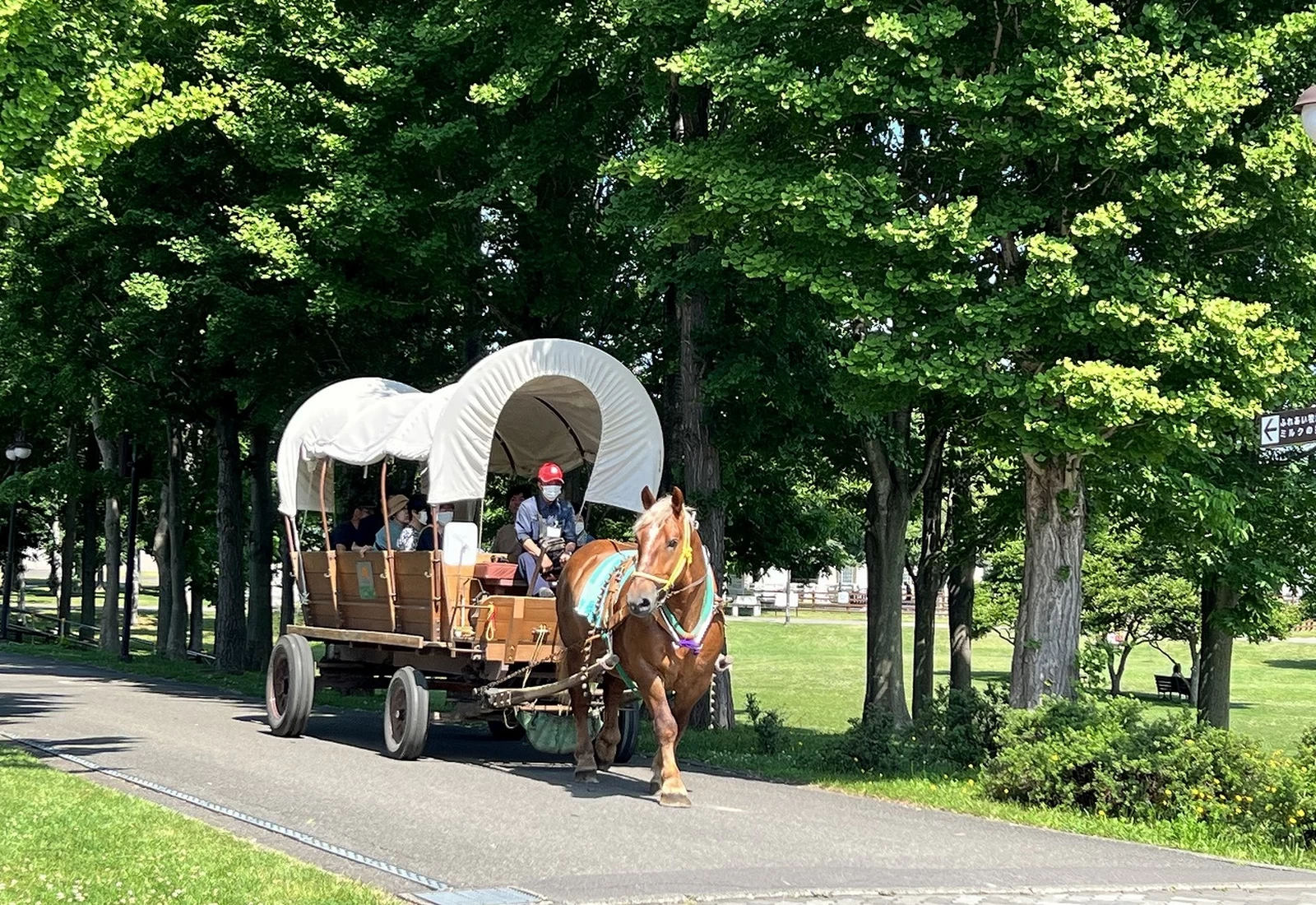 サッポロさとらんど