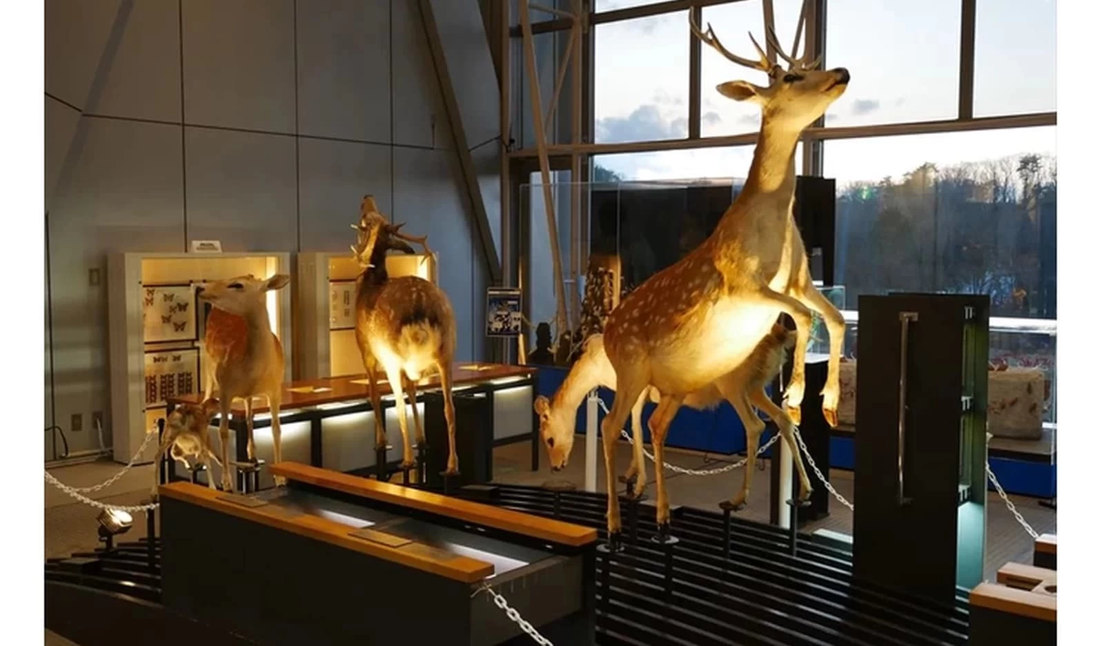 スリーエム仙台市科学館