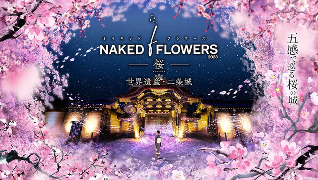 NAKED FLOWERS 2023 桜 世界遺産・二条城【元離宮二条城】