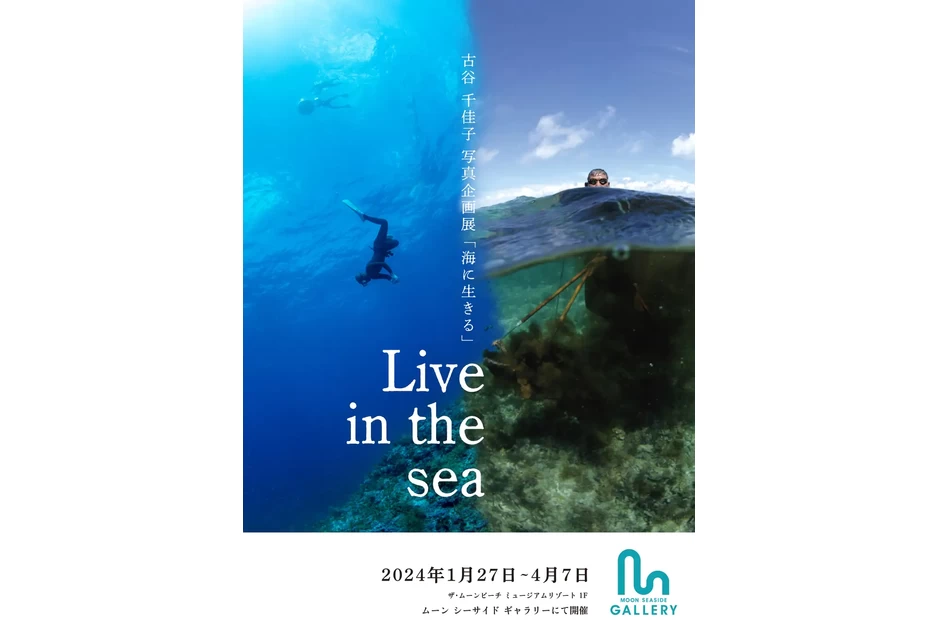 古谷千佳子 写真企画展「Live in the sea 海に生きる」【ザ・ムーンビーチ　ミュージアムリゾート】