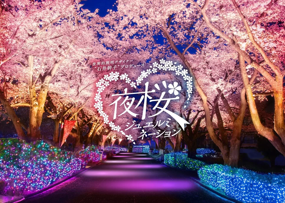 夜桜ジュエルミネーション【よみうりランド】