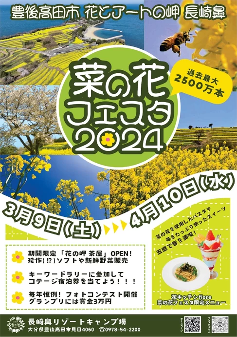 菜の花フェスタ2024【長崎鼻リゾートキャンプ場】