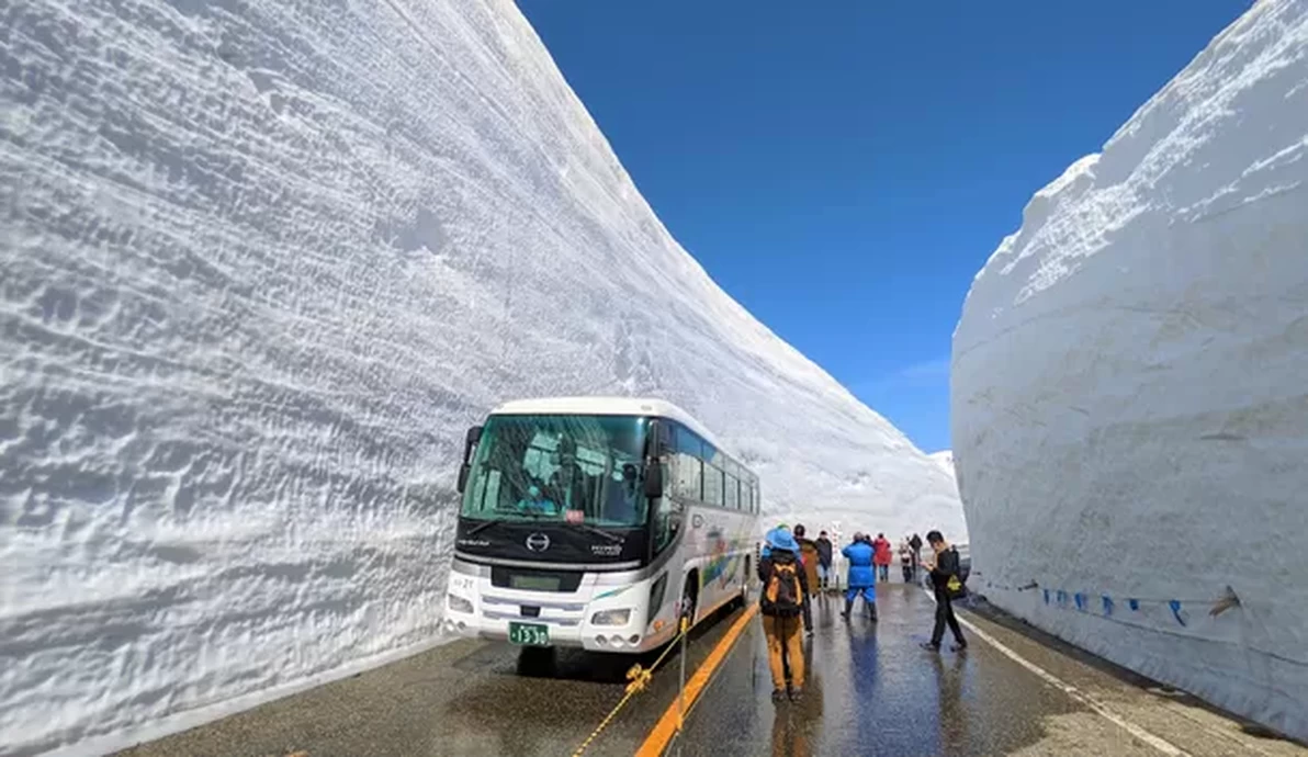 2024 立山黒部・雪の大谷フェスティバル【立山室堂平、大観峰】