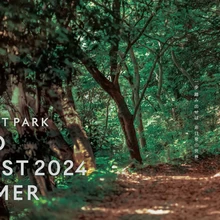 ACAO FOREST 2024 SUMMER【LAND ART PARK「ACAO FOREST」】