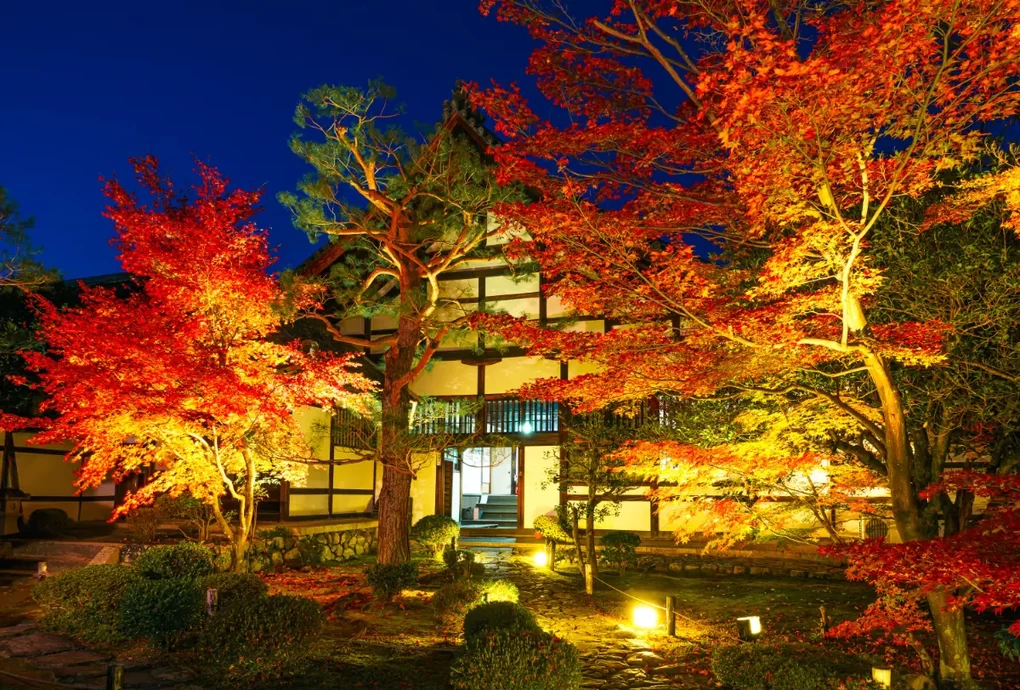 京都嵐山　鹿王院夜の特別拝観2024【覚雄山鹿王院】