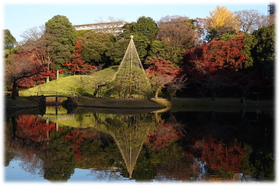 深山紅葉を楽しむ【小石川後楽園】