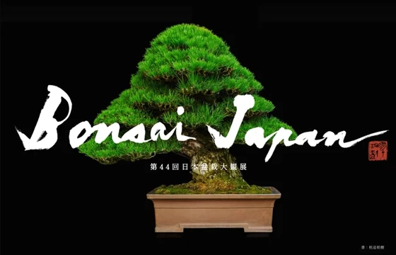 第44回日本盆栽大観展 BONSAI JAPAN【京都市勧業館 みやこめっせ】│京都府の人気イベント│旅色