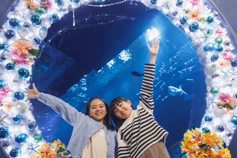 DMMかりゆし水族館クリスマスドリーム