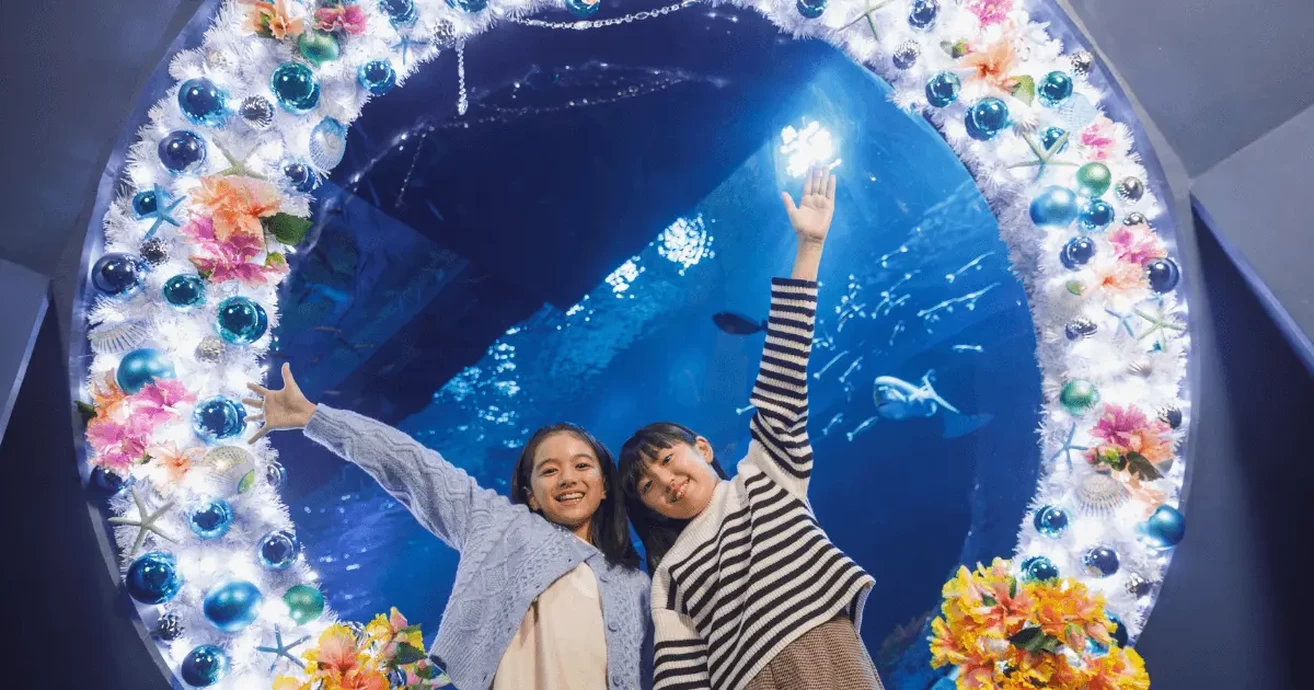 DMMかりゆし水族館クリスマスドリーム