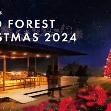 ACAO FOREST CHRISTMAS 2024【ACAO FOREST】