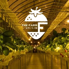 「THE FARM 星空いちご園」オープン