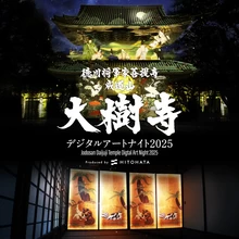 徳川将軍家菩提寺 成道山大樹寺 デジタルアートナイト 2025【大樹寺】