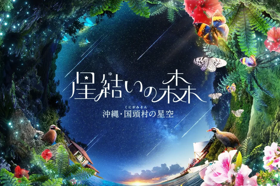 星結いの森 -沖縄・国頭村の星空-【コニカミノルタプラネタリアYOKOHAMA（横浜）】