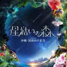 星結いの森 -沖縄・国頭村の星空-【コニカミノルタプラネタリウム満天NAGOYA】