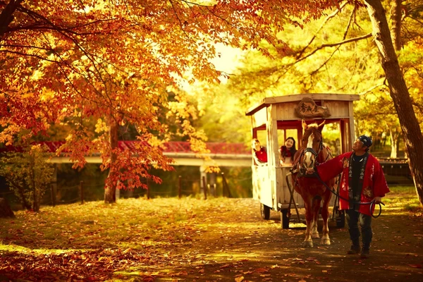 馬車に乗って紅葉とりんごを楽しむ「紅葉りんご馬車」