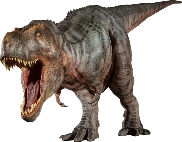 ティラノサウルス（全長8.0ｍ）