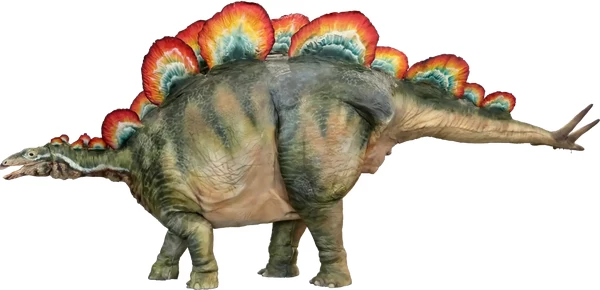 ステゴサウルス（全長7.0ｍ）