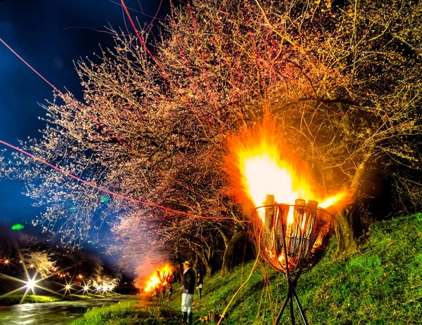 幻想的なかがり火の夜桜