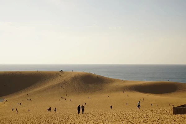 日本代表する砂のアート「鳥取砂丘」