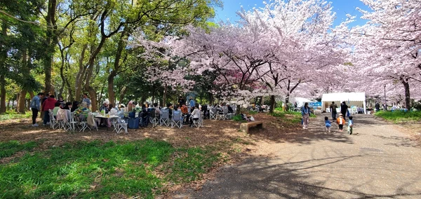 会場は大きな桜の木を中心とした植樹エリア