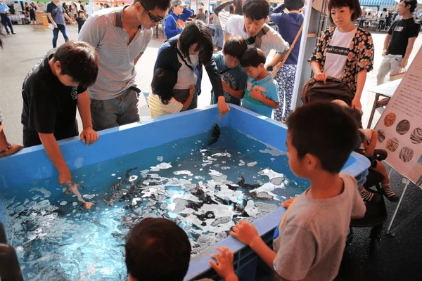 ふれあい水族館